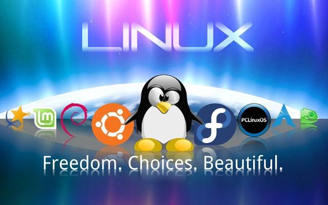 Linux 是如何成功运作的