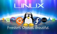 Linux 是如何成功运作的